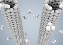 一種新型DNA生物傳感器的簡(jiǎn)要原理介紹